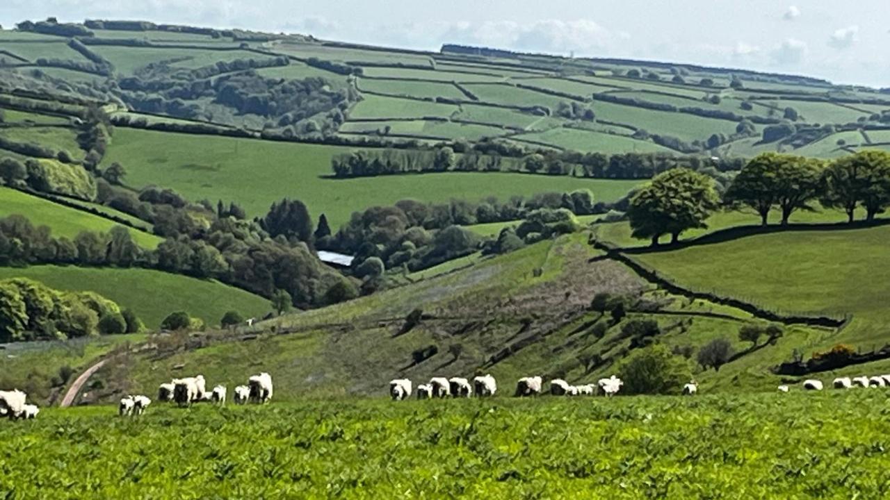 Exmoor Retreat On Two Moors Way Withypool Bagian luar foto