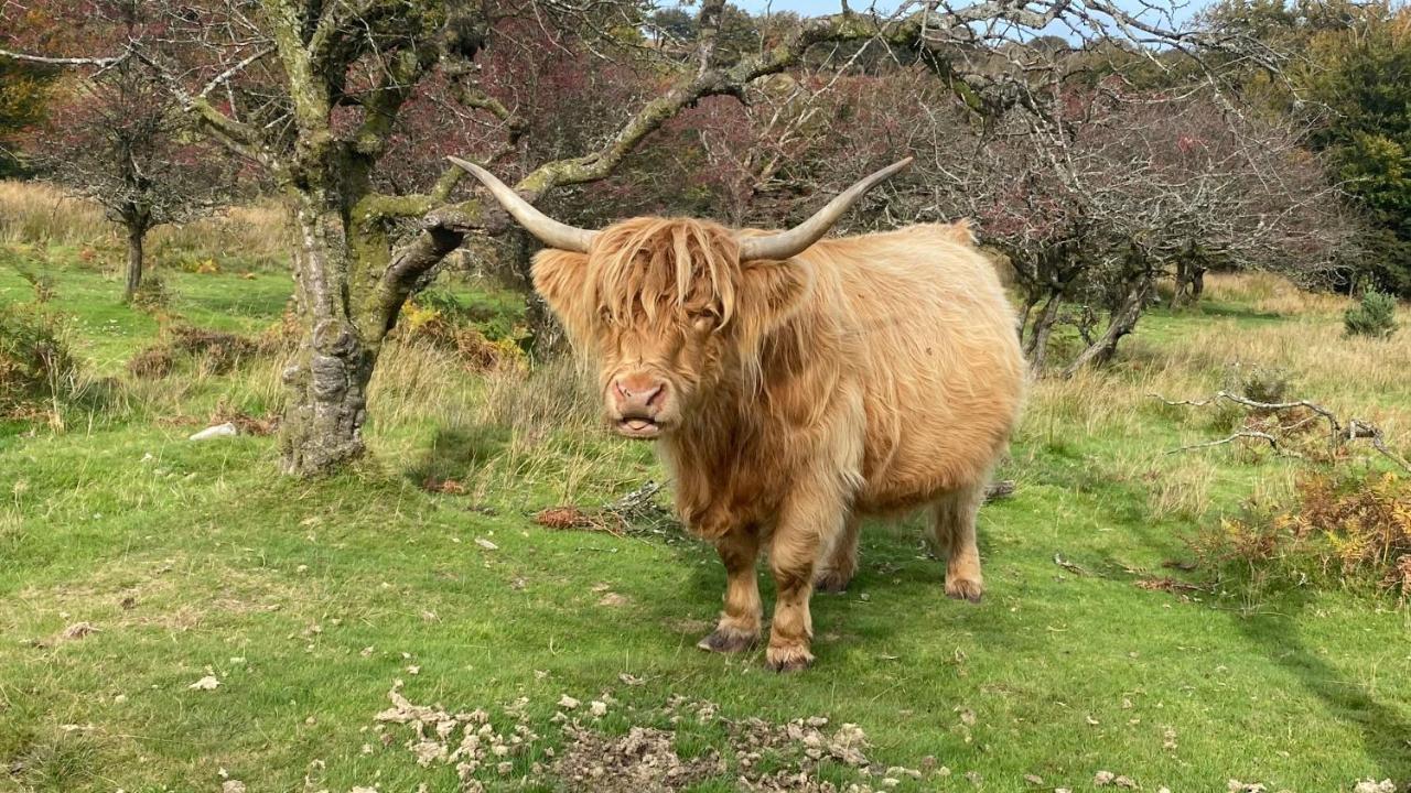 Exmoor Retreat On Two Moors Way Withypool Bagian luar foto