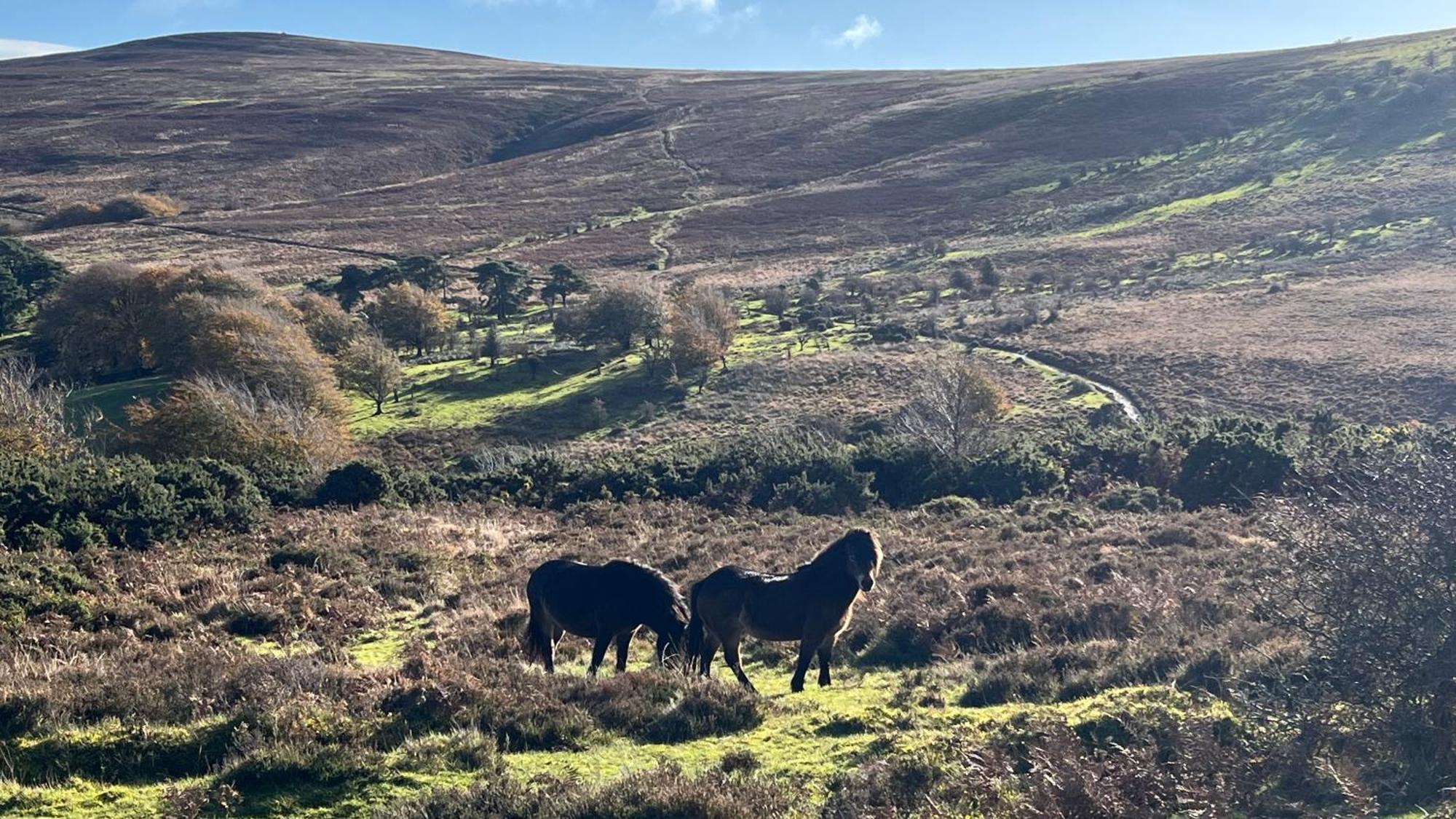 Exmoor Retreat On Two Moors Way Withypool Bagian luar foto
